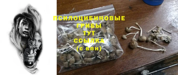 тгк Аркадак