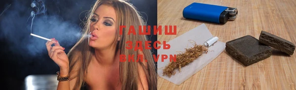 стаф Алзамай