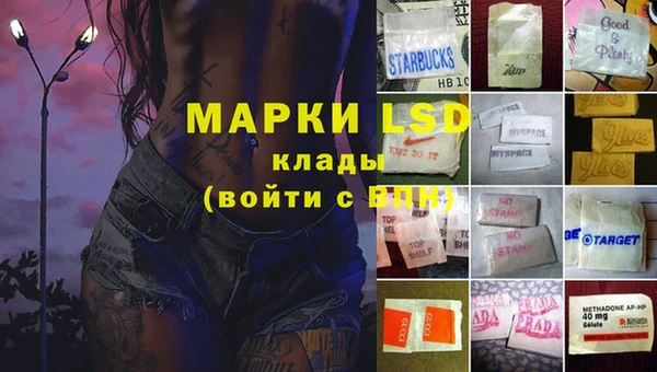 стаф Алзамай