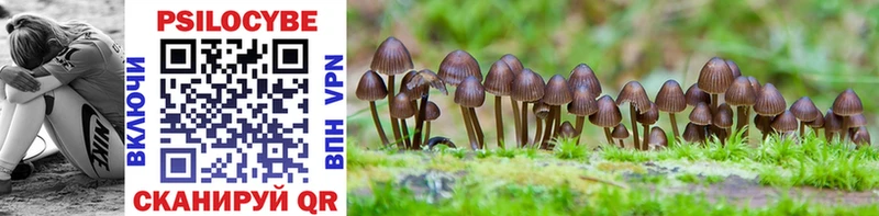 Псилоцибиновые грибы GOLDEN TEACHER Лабытнанги